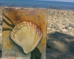 Sea Shell